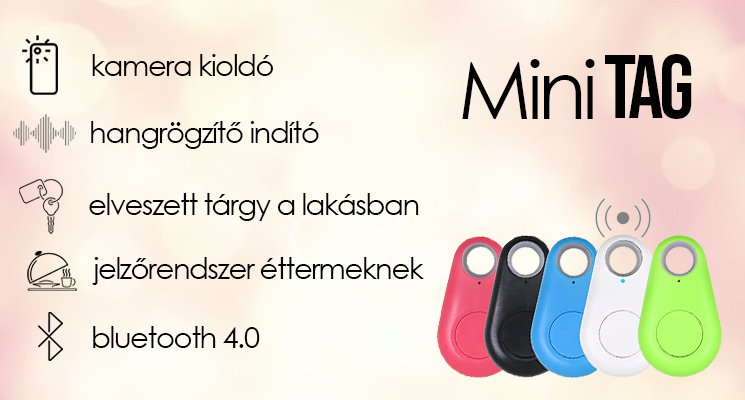 MINI TAG
